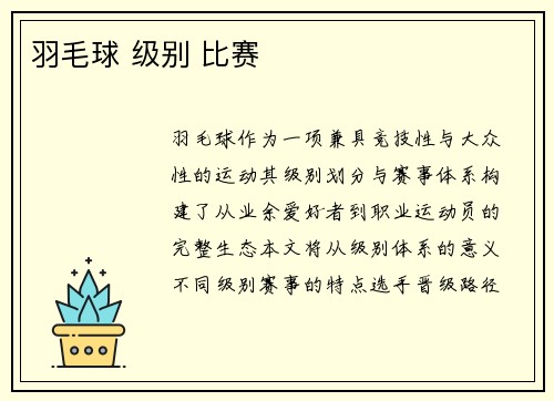 羽毛球 级别 比赛